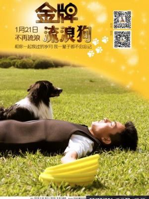 山河问剑 海报